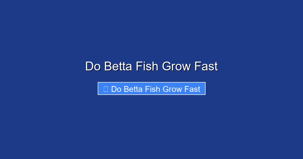 Do Betta Fish Grow Fast