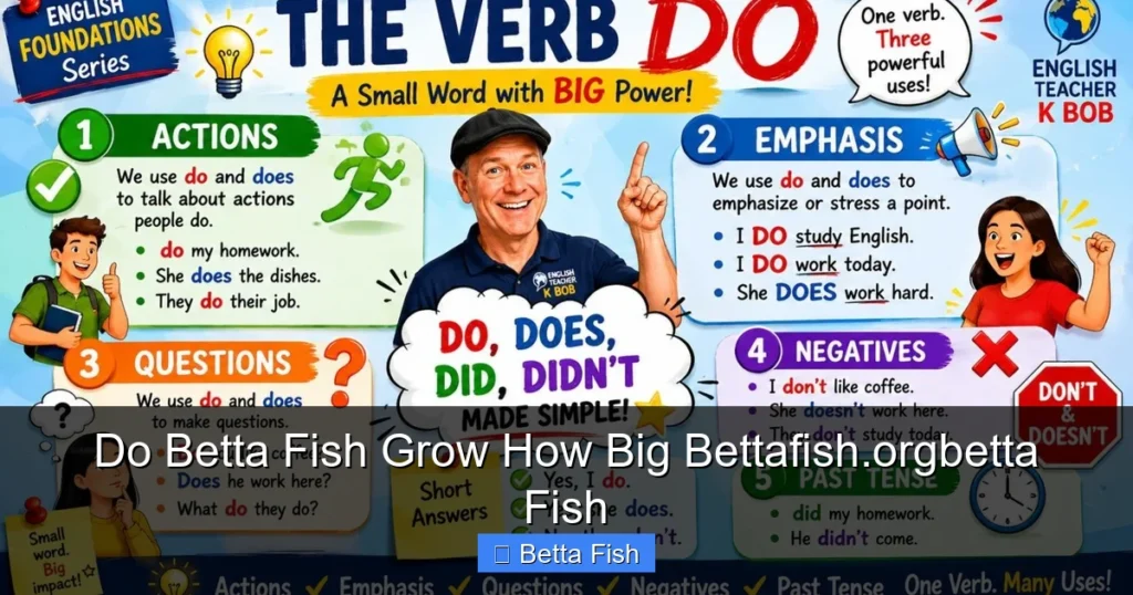 Do Betta Fish Grow How Big Bettafish.orgbetta Fish