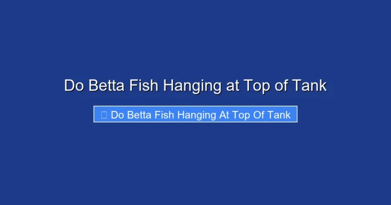 Do Betta Fish Hanging at Top of Tank