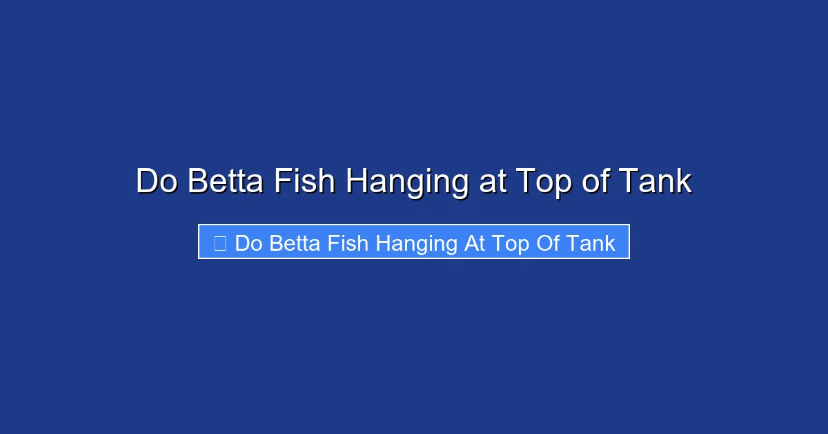 Do Betta Fish Hanging at Top of Tank