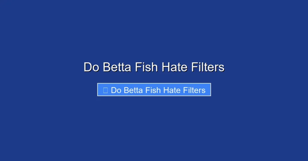 Do Betta Fish Hate Filters
