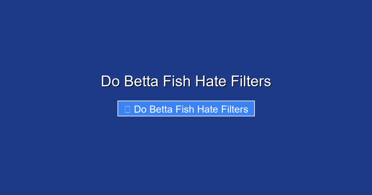 Do Betta Fish Hate Filters