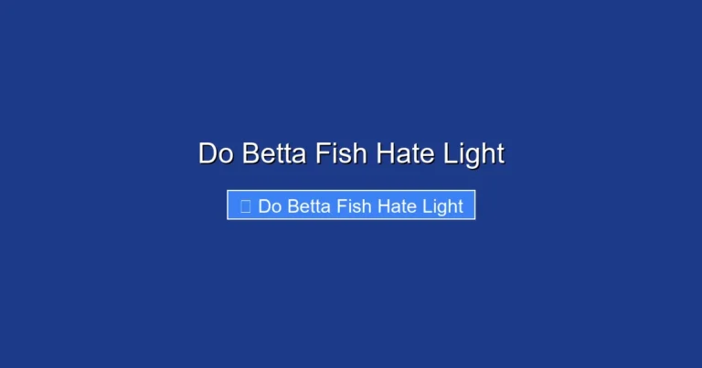 Do Betta Fish Hate Light