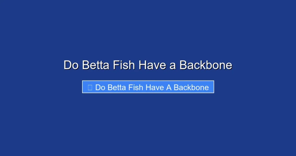 Do Betta Fish Have a Backbone