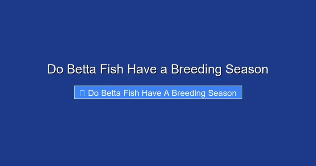 Do Betta Fish Have a Breeding Season