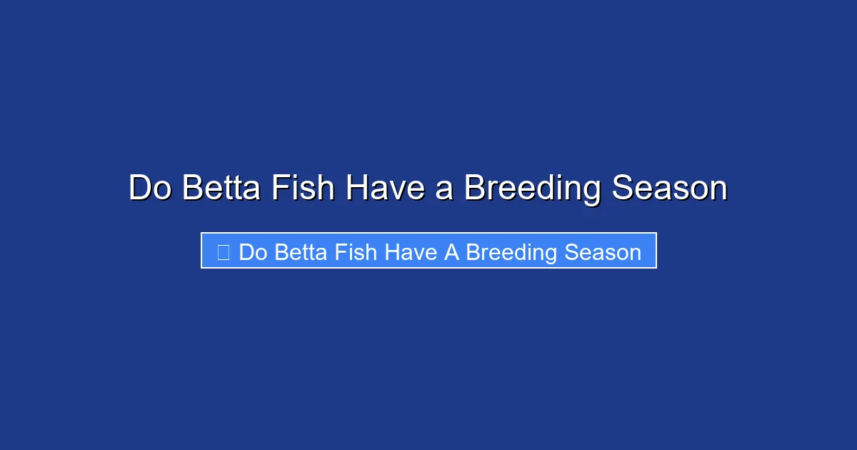 Do Betta Fish Have a Breeding Season