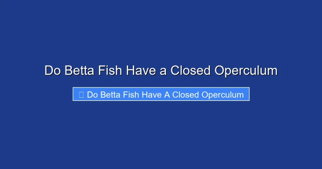 Do Betta Fish Have a Closed Operculum