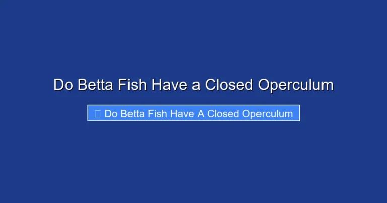 Do Betta Fish Have a Closed Operculum