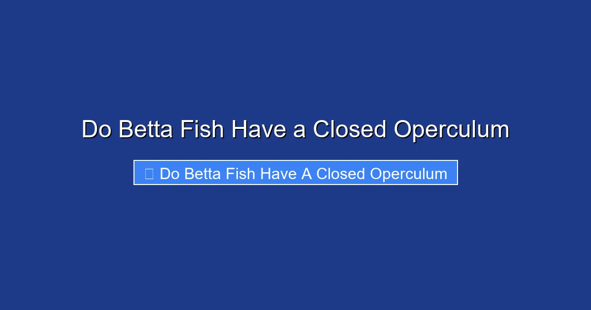 Do Betta Fish Have a Closed Operculum