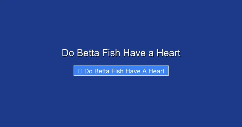 Do Betta Fish Have a Heart
