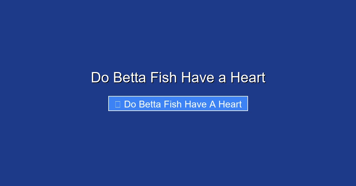 Do Betta Fish Have a Heart