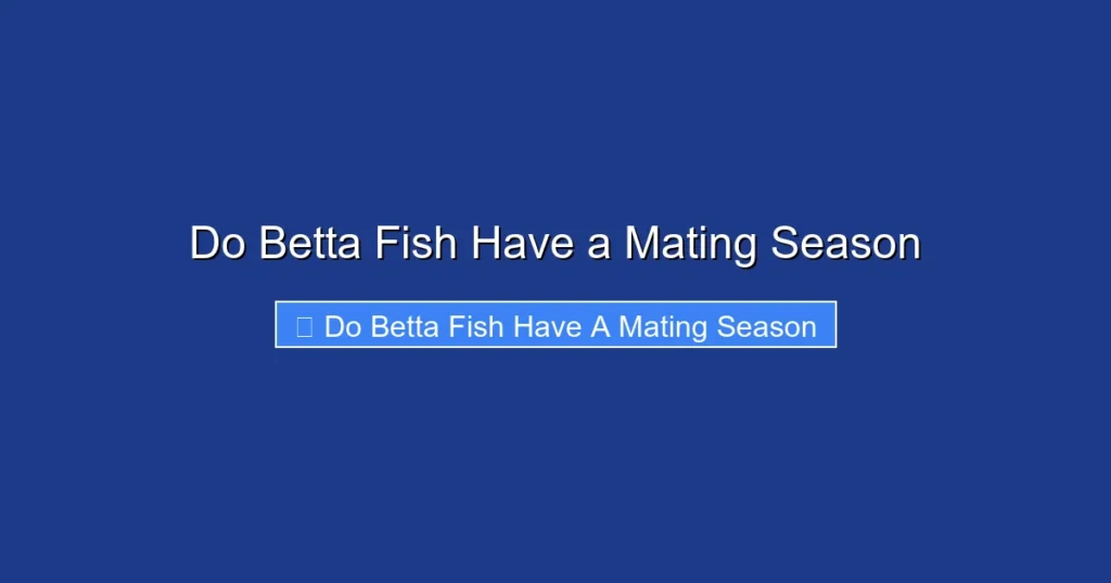 Do Betta Fish Have a Mating Season