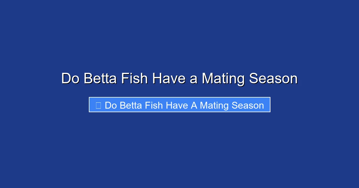 Do Betta Fish Have a Mating Season