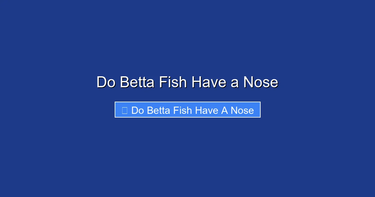Do Betta Fish Have a Nose