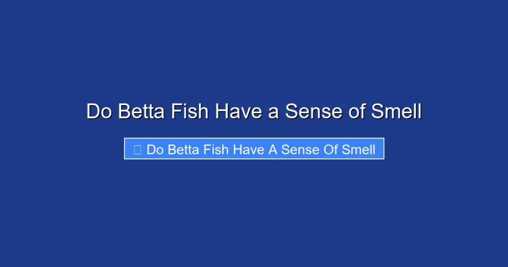 Do Betta Fish Have a Sense of Smell