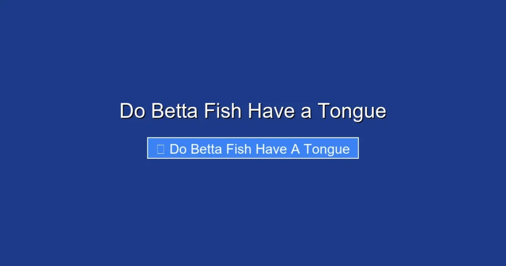 Do Betta Fish Have a Tongue