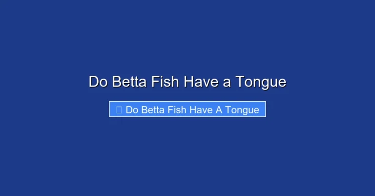 Do Betta Fish Have a Tongue