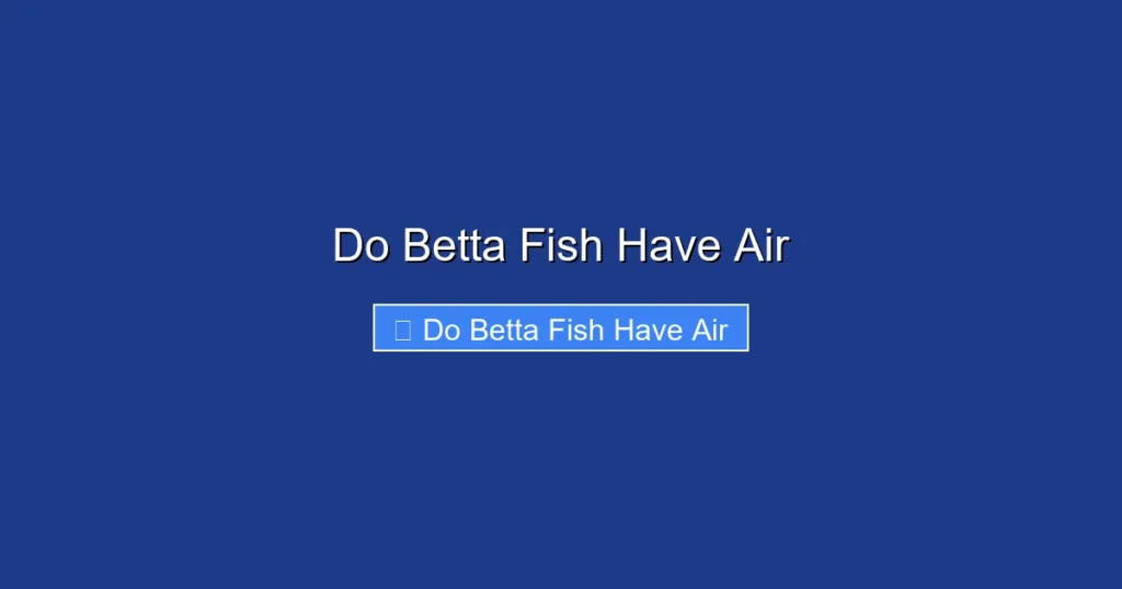 Do Betta Fish Have Air