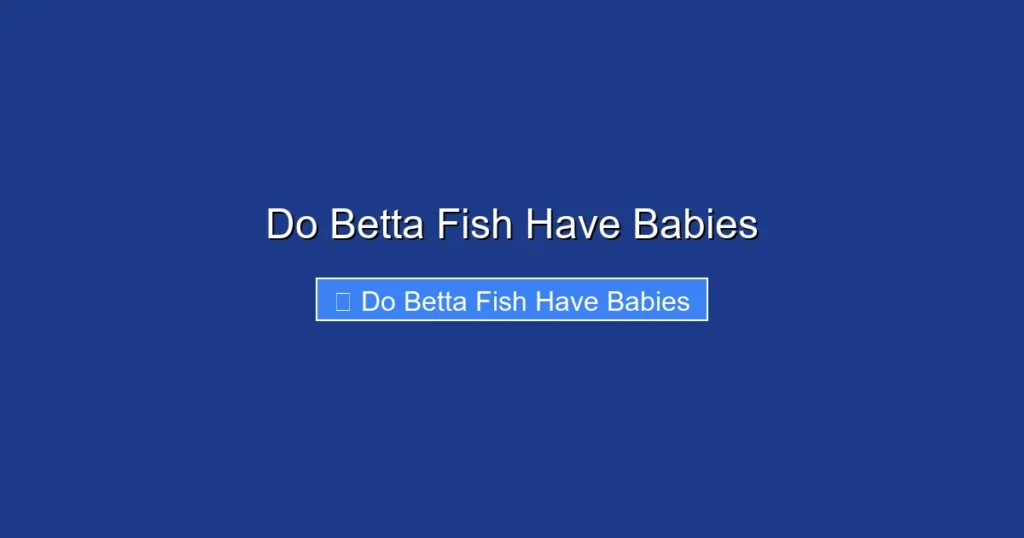 Do Betta Fish Have Babies