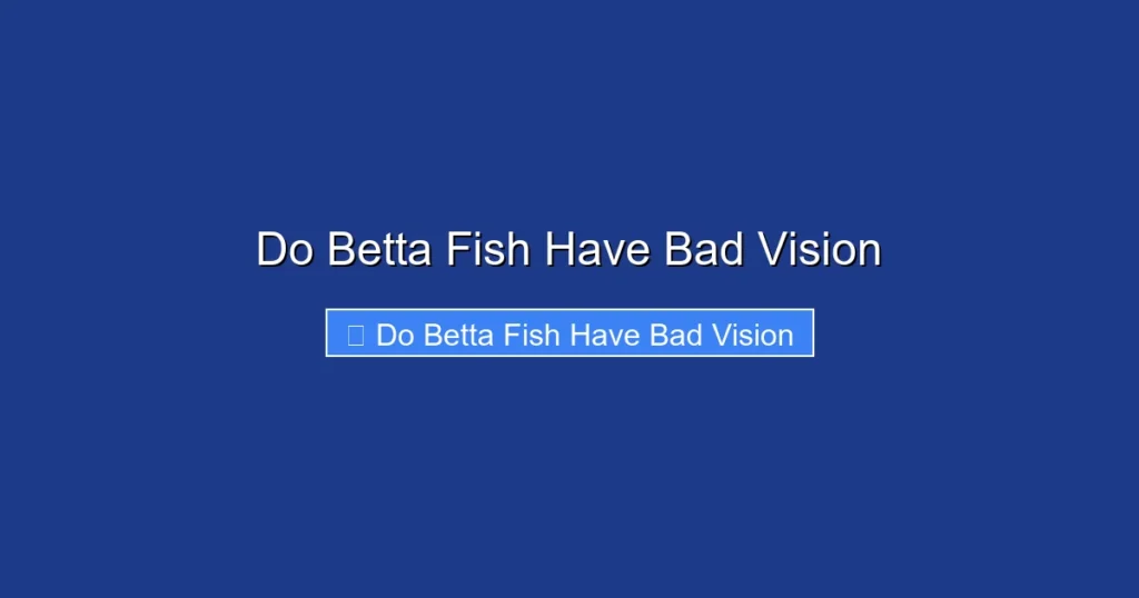 Do Betta Fish Have Bad Vision