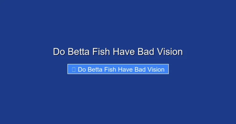 Do Betta Fish Have Bad Vision