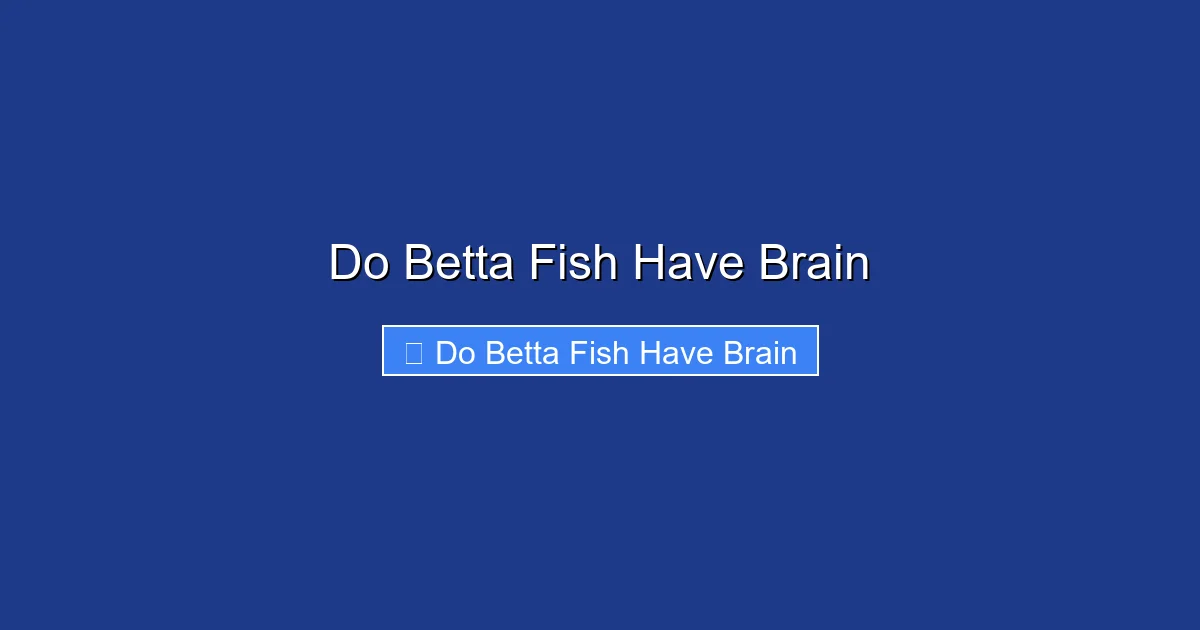 Do Betta Fish Have Brain
