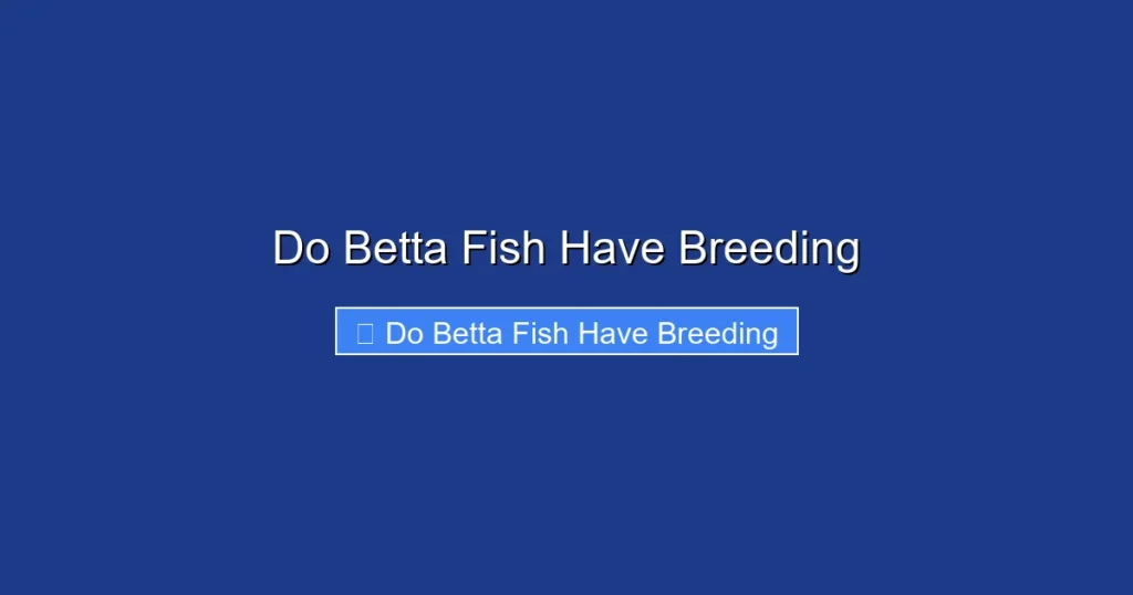 Do Betta Fish Have Breeding