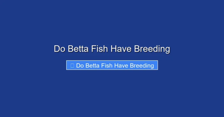 Do Betta Fish Have Breeding