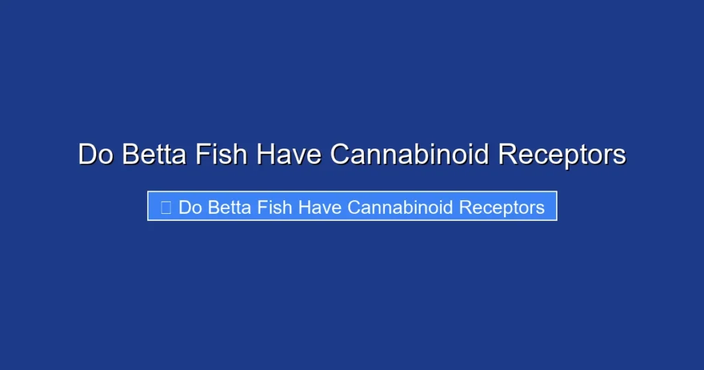 Do Betta Fish Have Cannabinoid Receptors