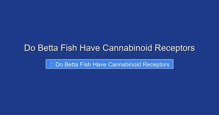 Do Betta Fish Have Cannabinoid Receptors