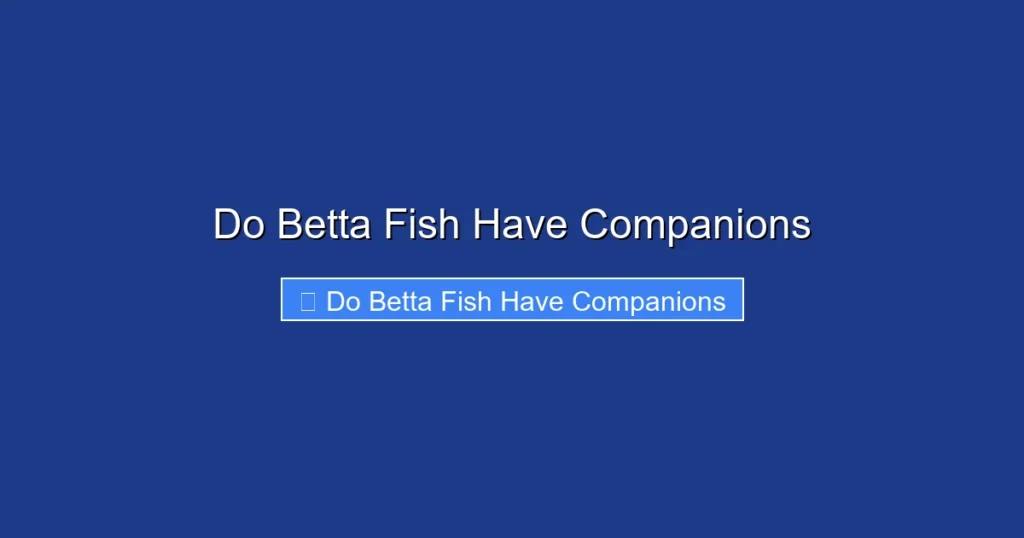 Do Betta Fish Have Companions