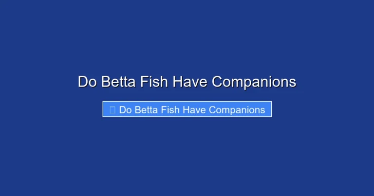 Do Betta Fish Have Companions