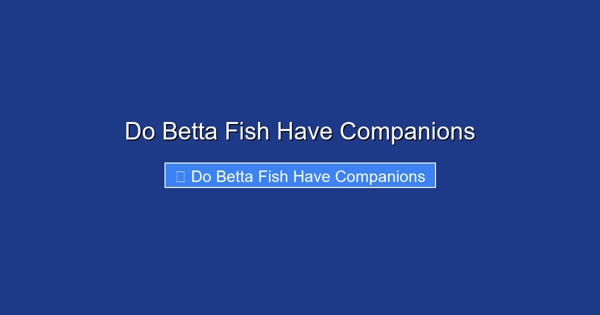 Do Betta Fish Have Companions
