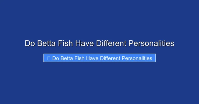 Do Betta Fish Have Different Personalities