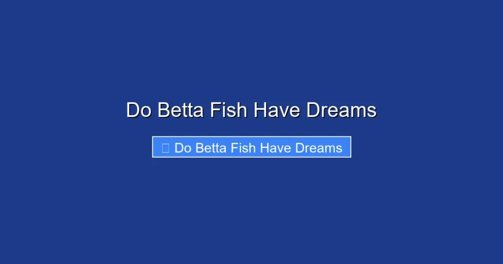 Do Betta Fish Have Dreams