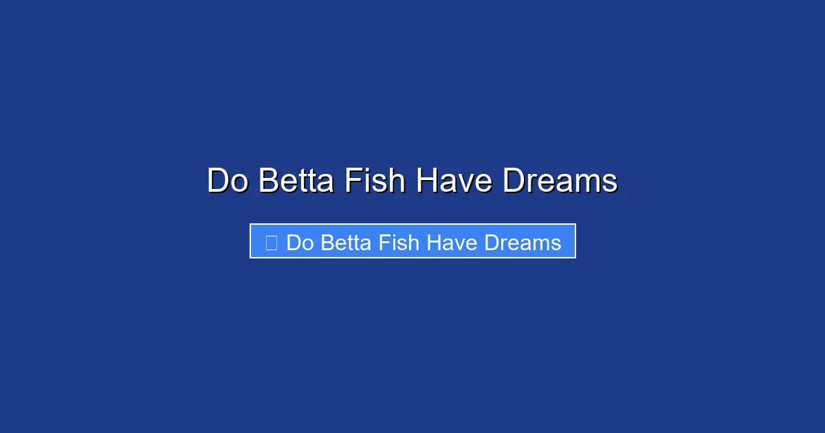 Do Betta Fish Have Dreams