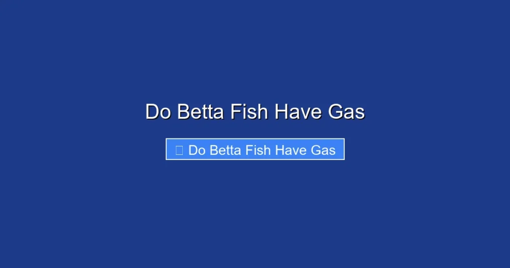 Do Betta Fish Have Gas