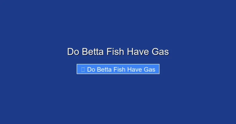 Do Betta Fish Have Gas