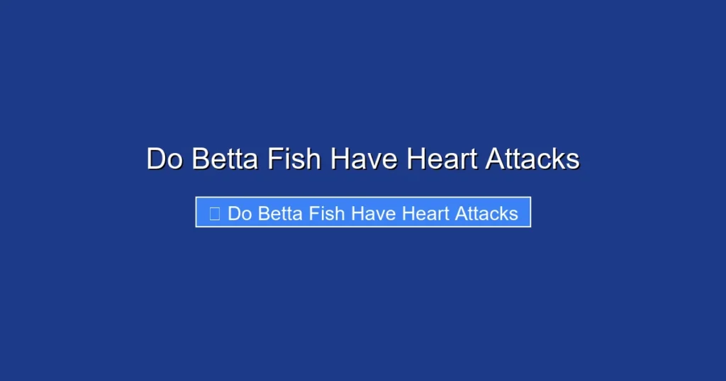 Do Betta Fish Have Heart Attacks