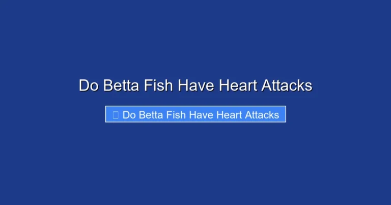 Do Betta Fish Have Heart Attacks