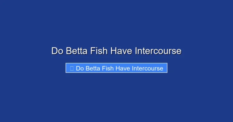 Do Betta Fish Have Intercourse