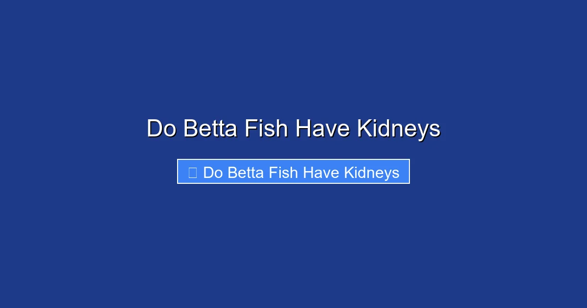 Do Betta Fish Have Kidneys