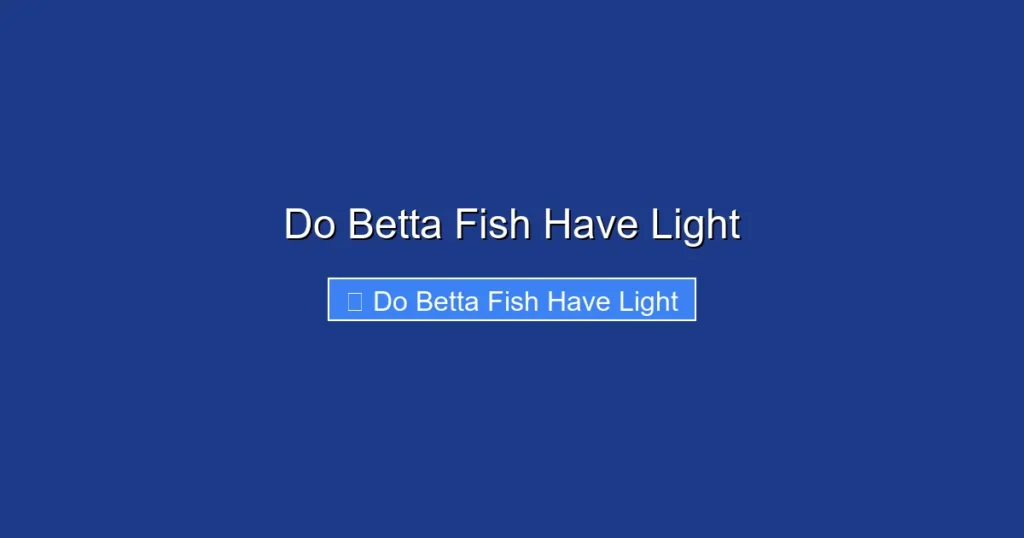 Do Betta Fish Have Light