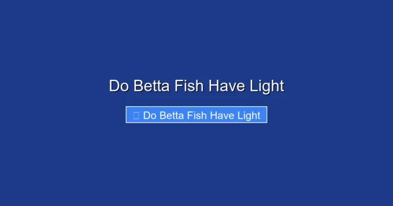 Do Betta Fish Have Light