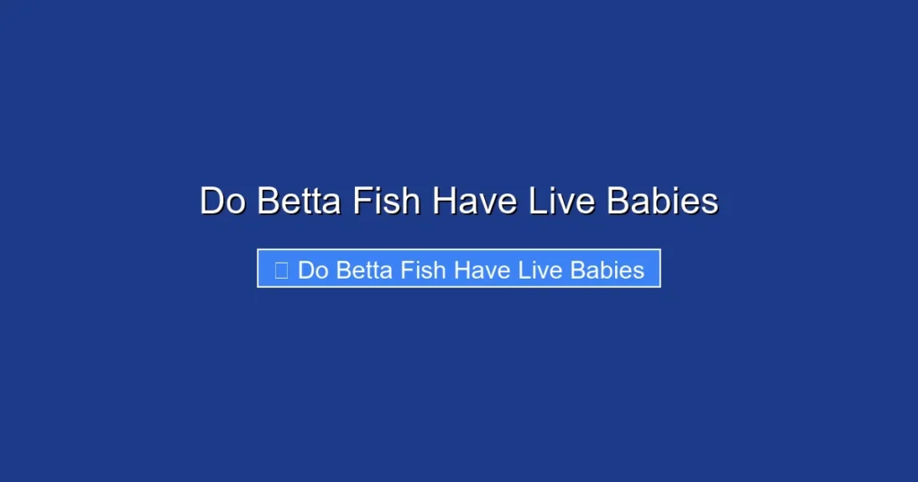 Do Betta Fish Have Live Babies