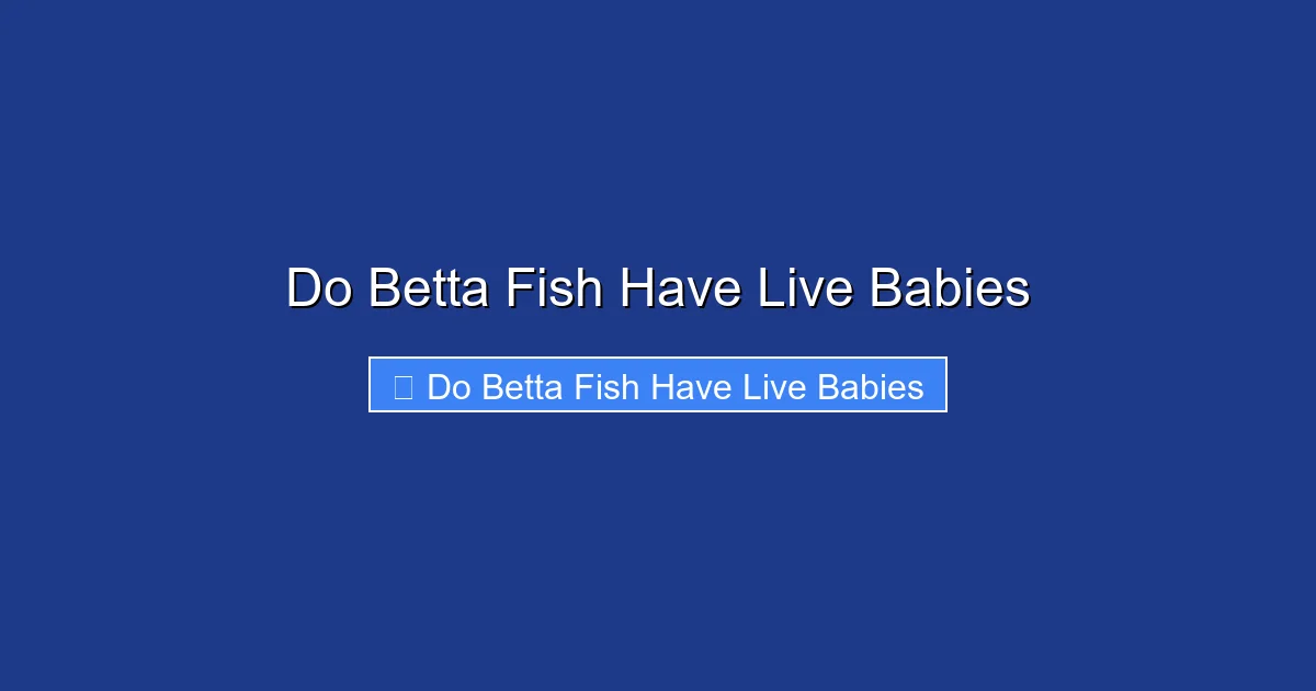Do Betta Fish Have Live Babies