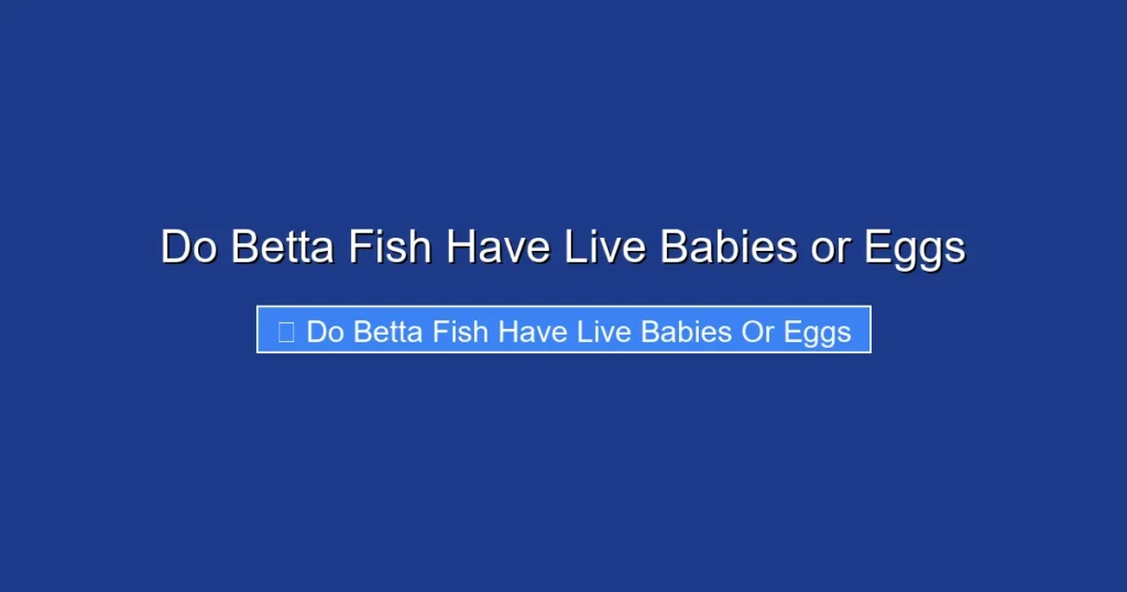Do Betta Fish Have Live Babies or Eggs