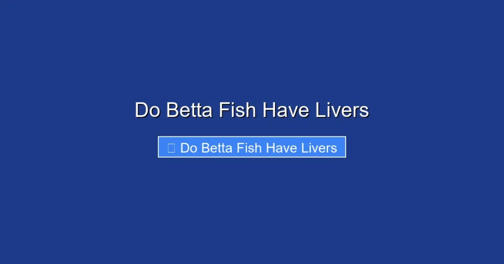 Do Betta Fish Have Livers