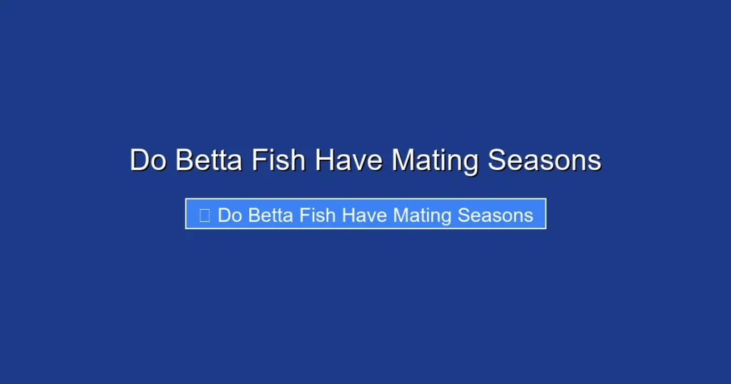 Do Betta Fish Have Mating Seasons