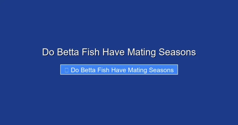 Do Betta Fish Have Mating Seasons